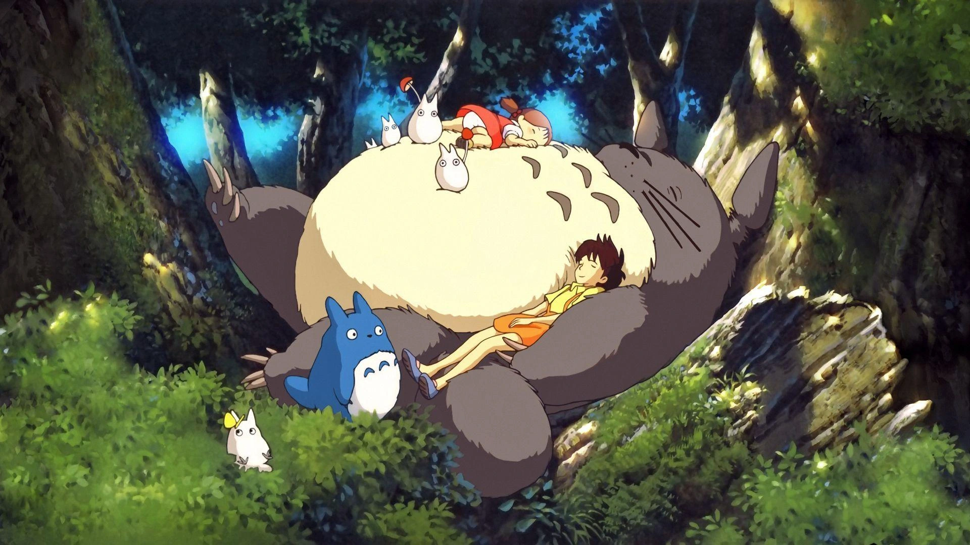 affiche Totoro